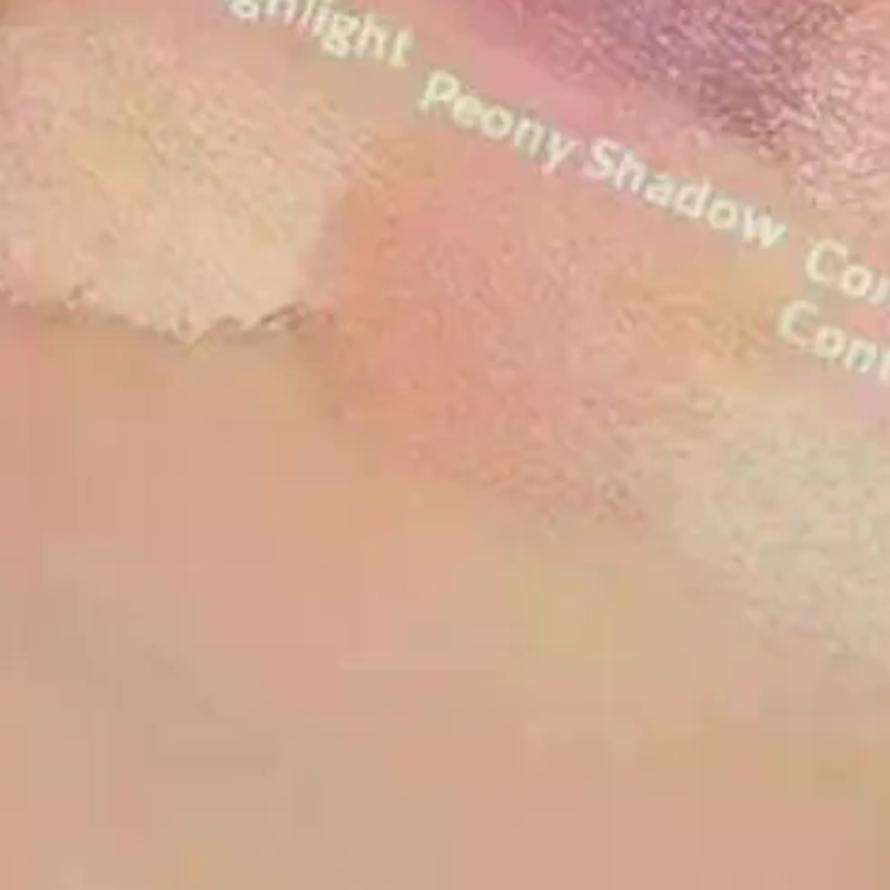 Beauty Makeup Eyeshadow Palette - Cappuvini 4 Renkli Mat Kadife Far